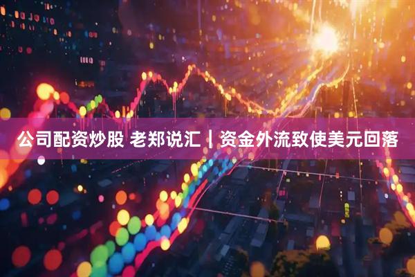公司配资炒股 老郑说汇︱资金外流致使美元回落