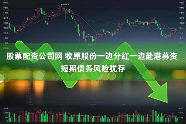 股票配资公司网 牧原股份一边分红一边赴港募资 短期债务风险犹存