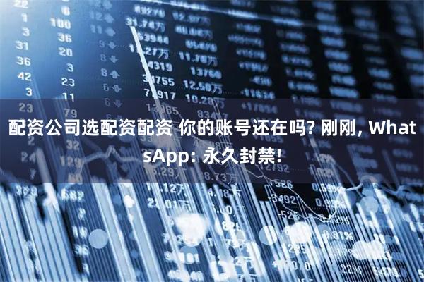 配资公司选配资配资 你的账号还在吗? 刚刚, WhatsApp: 永久封禁!